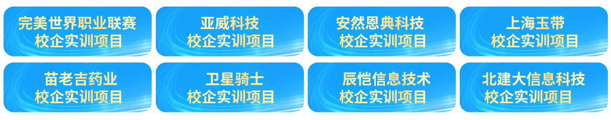 校企項目實訓案例