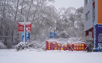 掃雪除冰 為你守護 溫暖同行